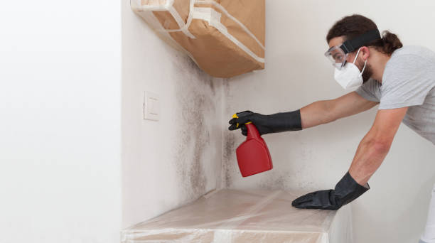 Professional Attic Mold Remediation technician working in Teterboro, NJ