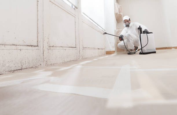 24/7 Emergency Attic Mold Remediation experts in Teterboro, NJ