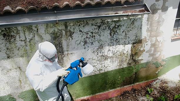 Top rated local Attic Mold Remediation specialists in Teterboro, NJ